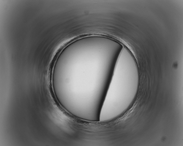 X0000100420987200806060944