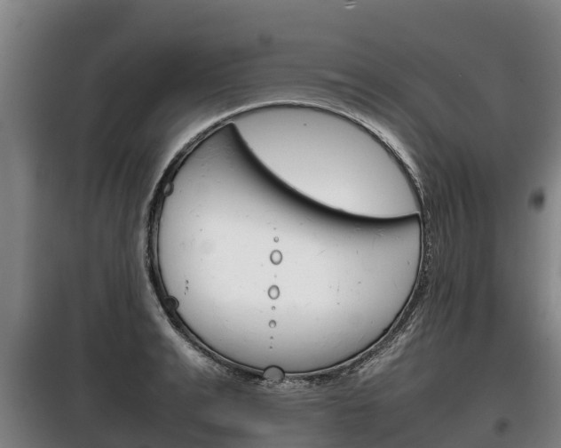 X0000100420991200806060944