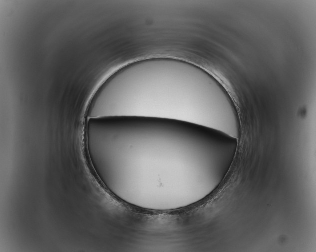 X0000100420992200806060944