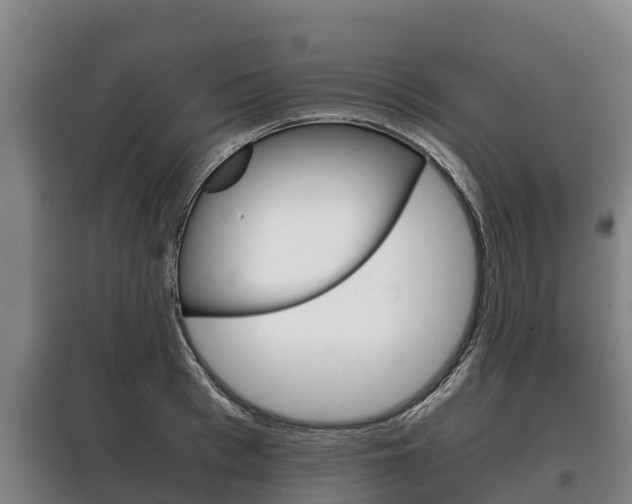 X0000100420993200806060944