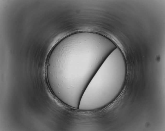 X0000100420994200806060944