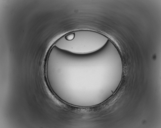 X0000100420995200806060944