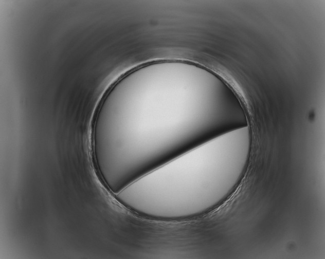 X0000100420996200806060944
