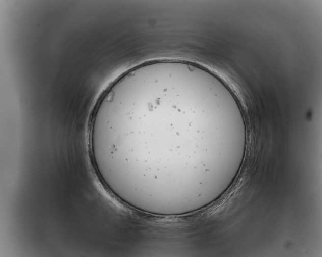 X0000100420998200806060944