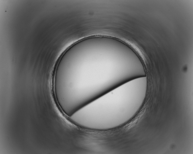 X0000100420999200806060944