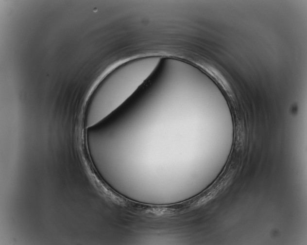 X0000100421000200806060944