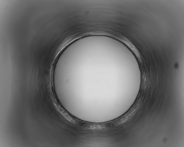 X0000100421002200806060944