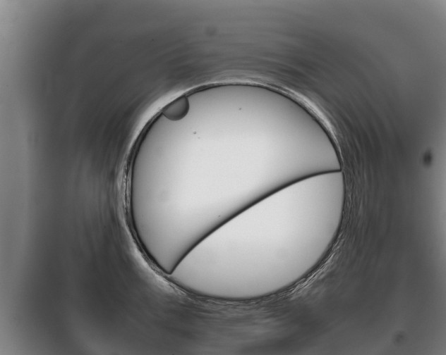 X0000100421003200806060944