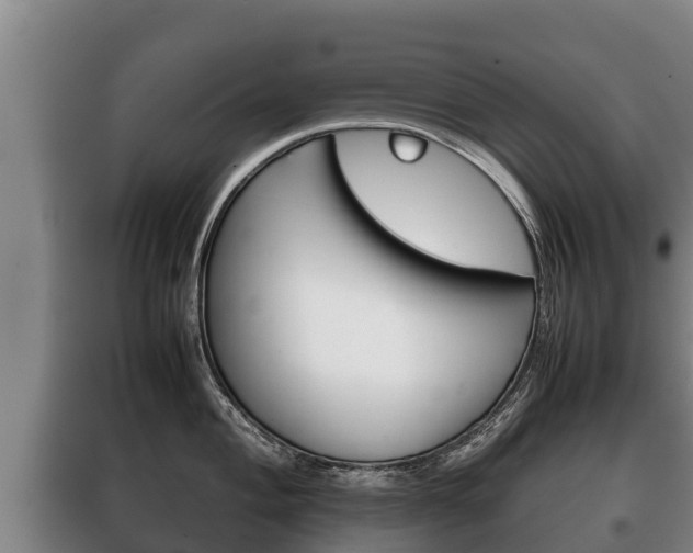 X0000100421004200806060944
