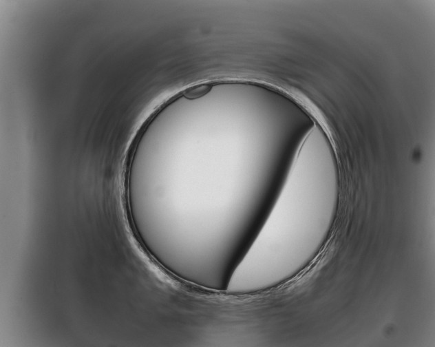 X0000100421005200806060944