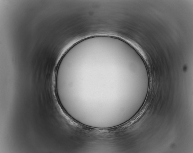 X0000100421006200806060944