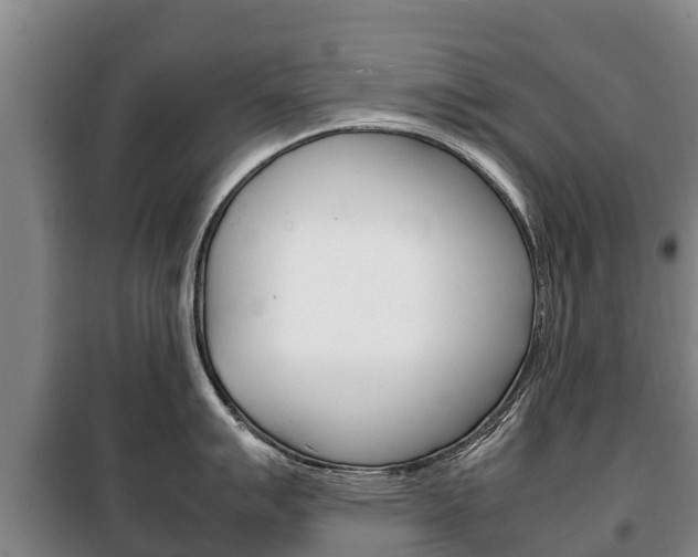 X0000100421007200806060944