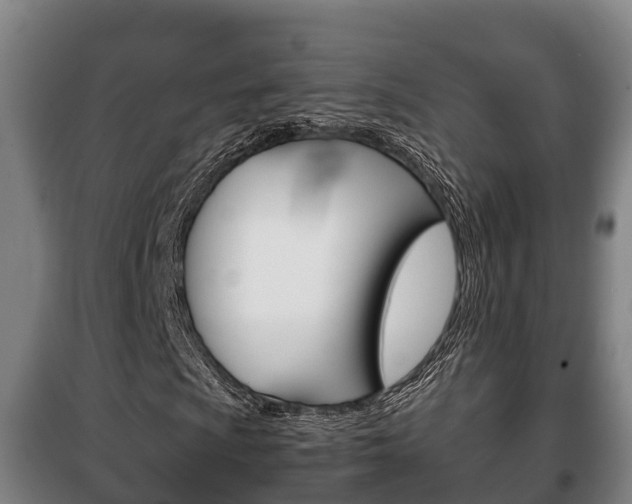 X0000100421009200806060943