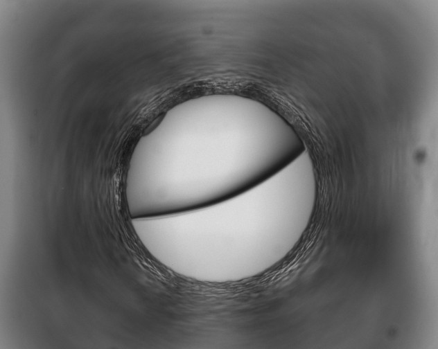 X0000100421010200806060943