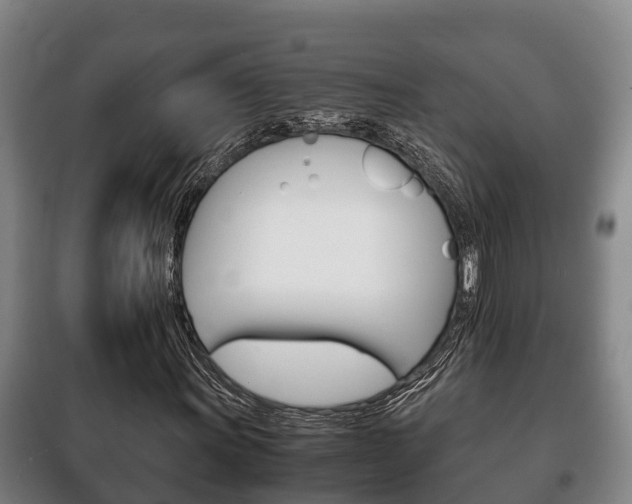 X0000100421011200806060943
