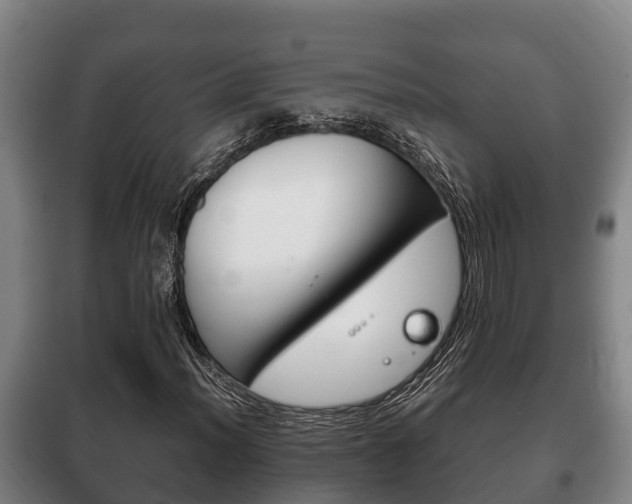 X0000100421012200806060943