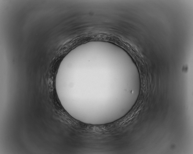 X0000100421013200806060943