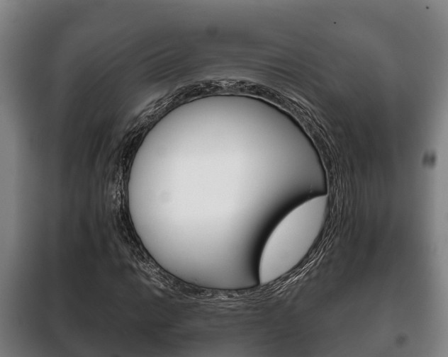 X0000100421014200806060943