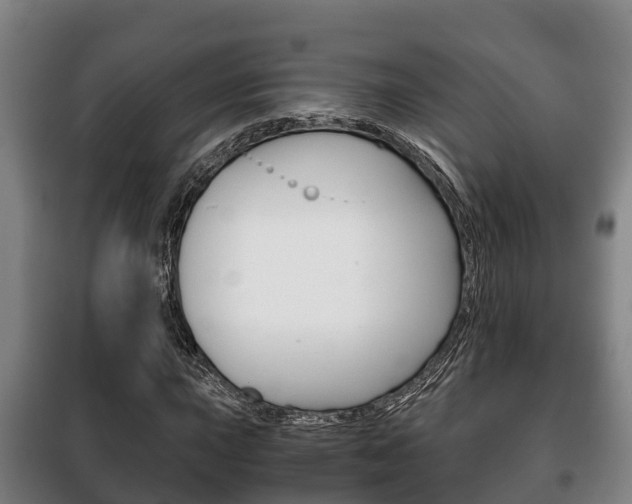 X0000100421015200806060943