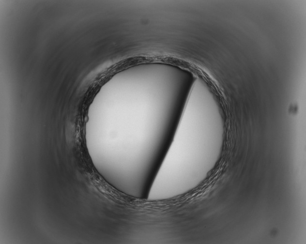 X0000100421016200806060943
