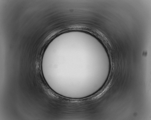 X0000100421017200806060943