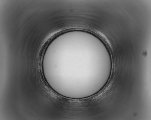 X0000100421019200806060943