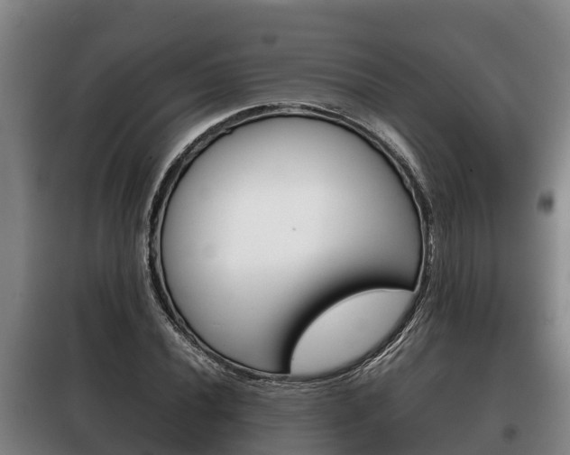 X0000100421020200806060943