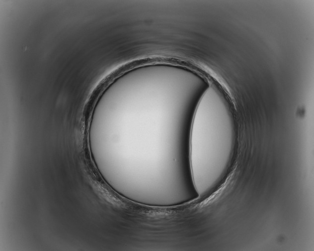X0000100421021200806060943