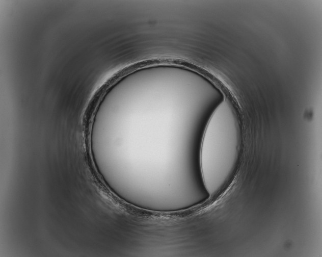 X0000100421022200806060943