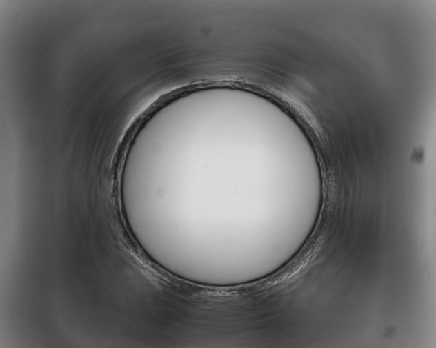 X0000100421023200806060943