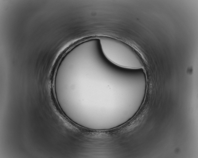 X0000100421024200806060943