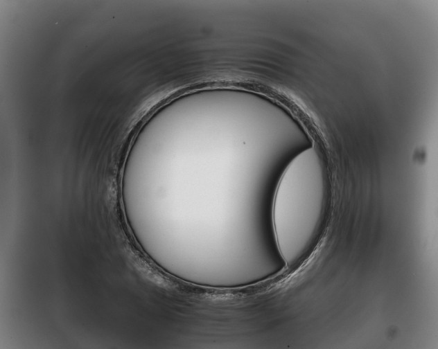 X0000100421025200806060943