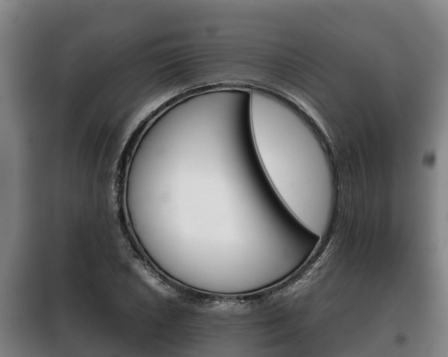 X0000100421026200806060943