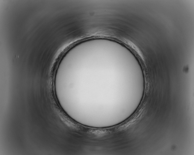 X0000100421027200806060943