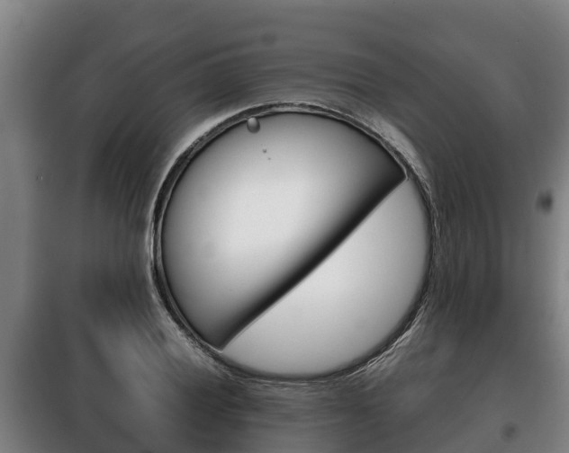 X0000100421028200806060943