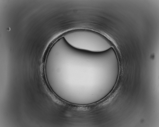 X0000100421029200806060943