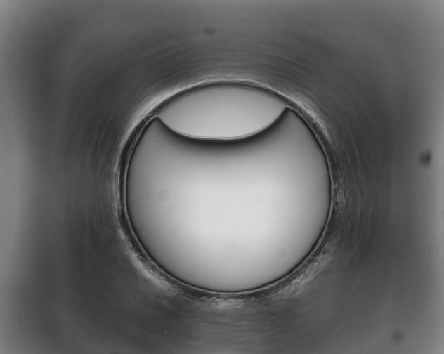 X0000100421030200806060943