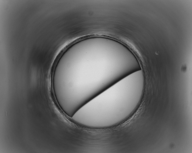 X0000100421032200806060943