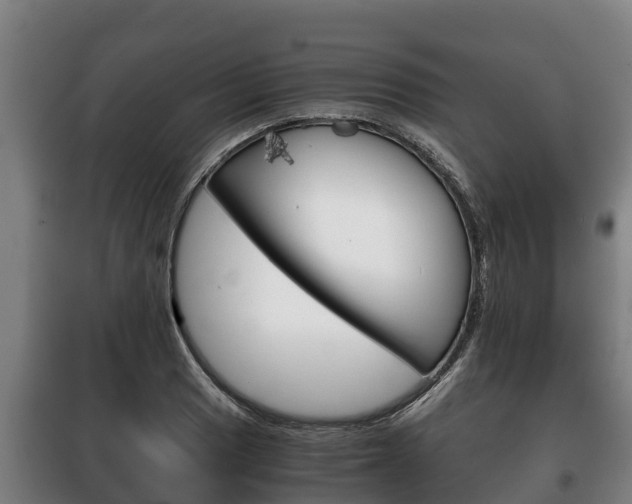 X0000100421033200806060943