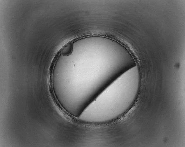 X0000100421034200806060943