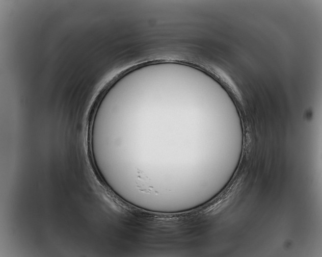 X0000100421035200806060943