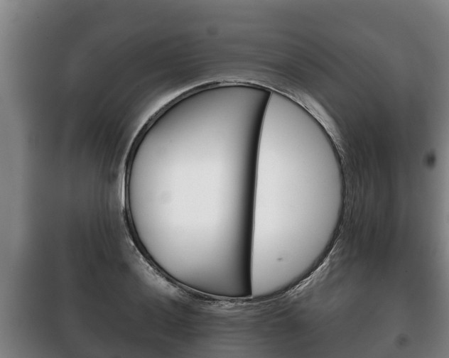 X0000100421036200806060943