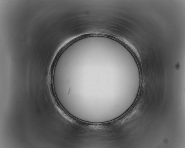 X0000100421037200806060943