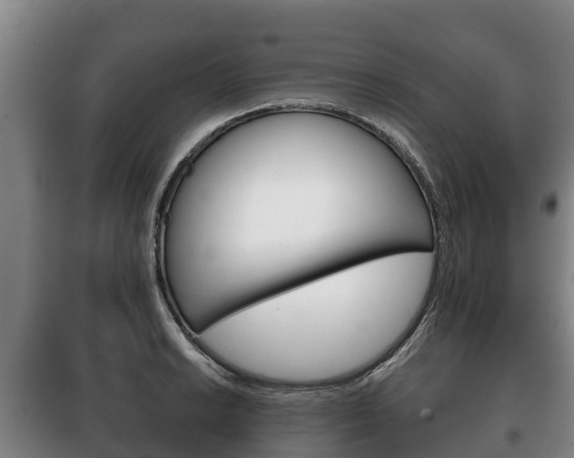X0000100421038200806060943