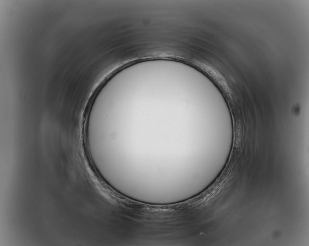 X0000100421039200806060943