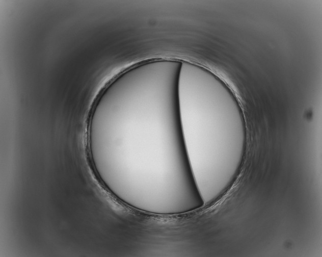 X0000100421040200806060943