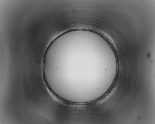 X0000100421041200806060943