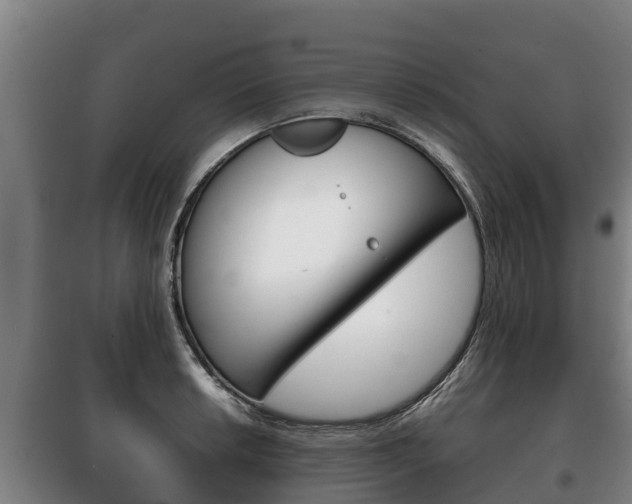 X0000100421042200806060943