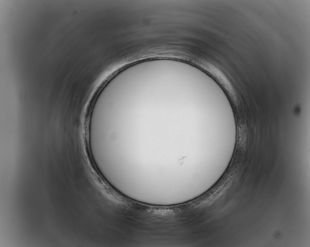 X0000100421043200806060943