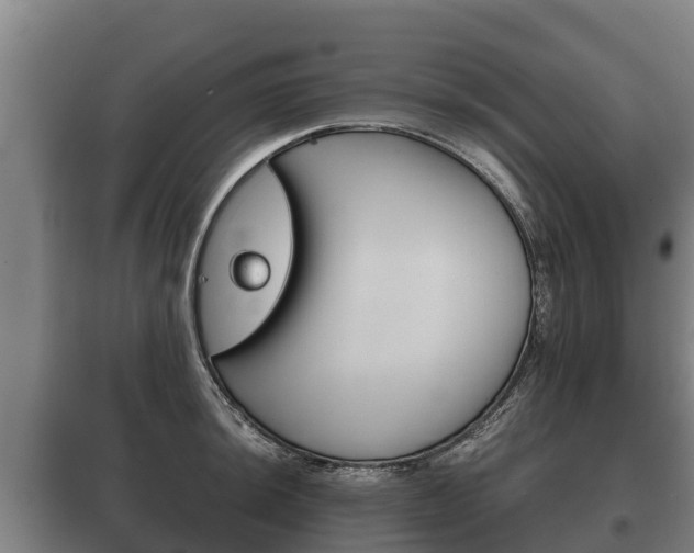 X0000100421044200806060943
